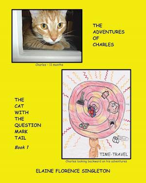 The Adventures of Charles The Cat With The Question Mark Tail