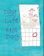 A Day In The Life Of A Hot Dog
