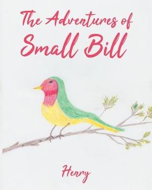 The Adventures of Small Bill