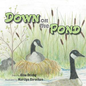 Down on the Pond