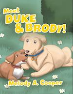 Meet Duke and Brody! 