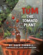 Tom The Tomato Plant 