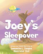 Joey's Sleepover 