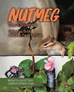 Nutmeg the Chipmunk