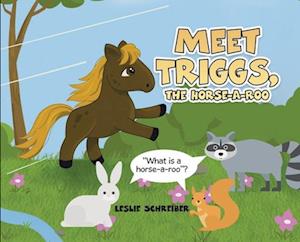 Meet Triggs, the Horse-A-Roo: What's a Horse-A-Roo