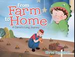 From Farm to Home: A Carrot's Long Journey 