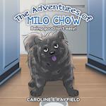 The Adventures of Milo Chow