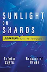 Sunlight on Shards: Adoption From the Inside Out 