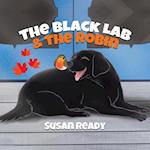 The Black Lab & the Robin 