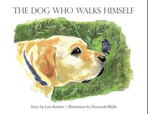 The Dog Who Walks Himself