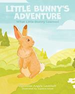 Little Bunny's Adventure: What Little Bunny Learned 