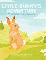 Little Bunny's Adventure: What Little Bunny Learned 