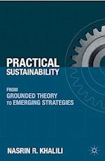 Practical Sustainability