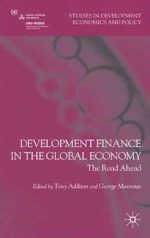 Development Finance in the Global Economy