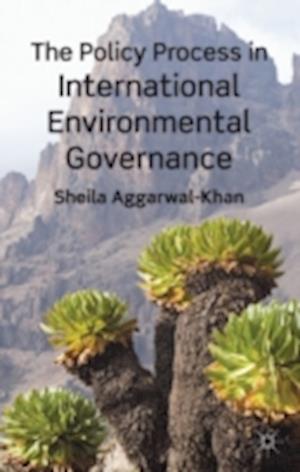 The Policy Process in International Environmental Governance