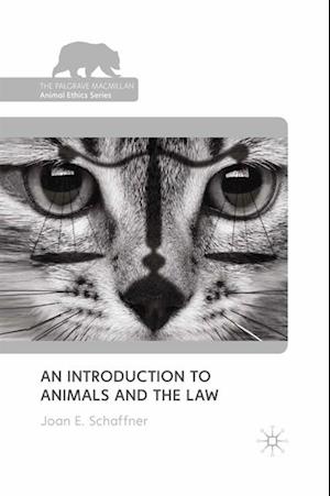 An Introduction to Animals and the Law