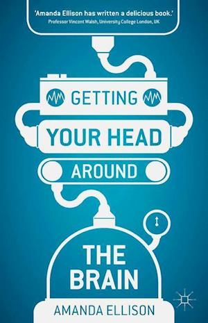 Getting your head around the brain