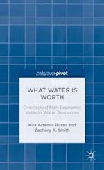 What Water Is Worth: Overlooked Non-Economic Value in Water Resources