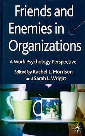 Friends and Enemies in Organizations