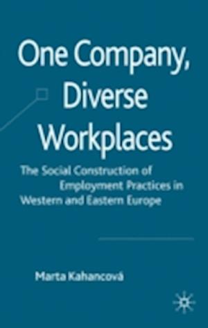 One Company, Diverse Workplaces