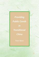 Providing Public Goods in Transitional China