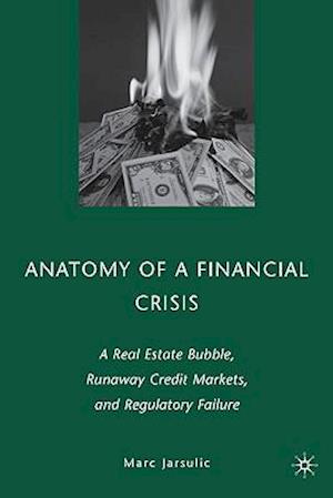 Anatomy of a Financial Crisis