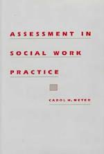 Assessment in Social Work Practice