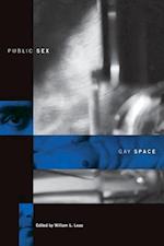 Public Sex/Gay Space