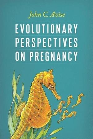 Evolutionary Perspectives on Pregnancy