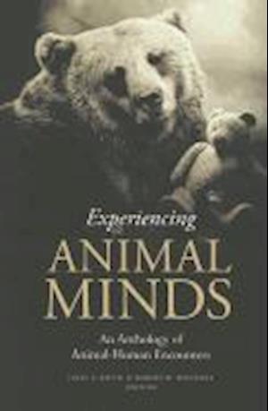 Experiencing Animal Minds