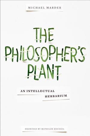 The Philosopher's Plant