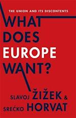What Does Europe Want?