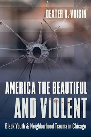 America the Beautiful and Violent