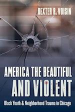 America the Beautiful and Violent