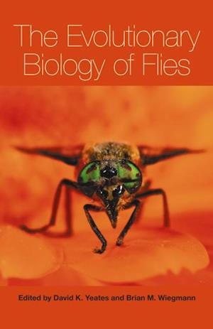 Evolutionary Biology of Flies