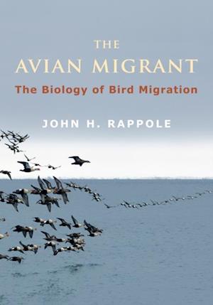 Avian Migrant