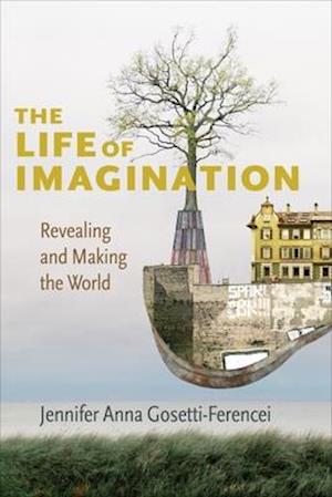 Life of Imagination