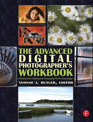 The Advanced Digital Photographer's Workbook