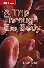 A Trip Through the Body