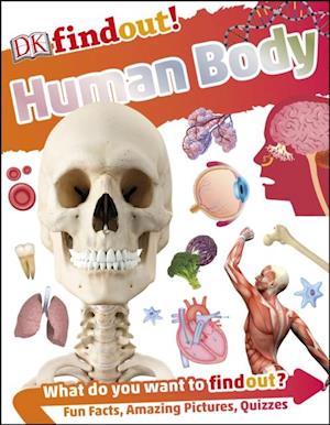 DKfindout! Human Body