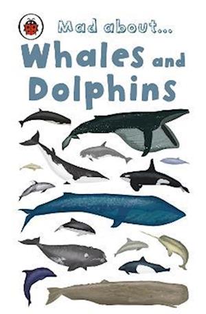 Mad About Whales and Dolphins