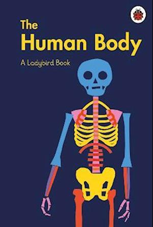 Ladybird Book: The Human Body