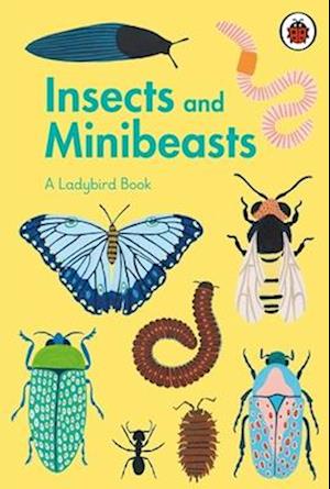 A Ladybird Book: Insects and Minibeasts