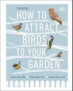 How to Attract Birds to Your Garden