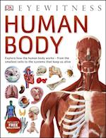 Human Body