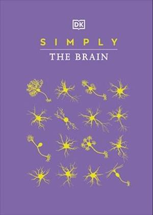 Simply The Brain