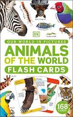 Our World in Pictures Animals of the World Flash Cards