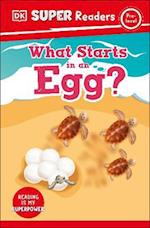 DK Super Readers Pre-Level What Starts in an Egg?