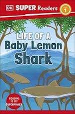 DK Super Readers Level 1 Life of a Baby Lemon Shark