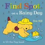 Find Spot on a Rainy Day